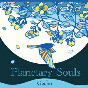 Planetary Souls