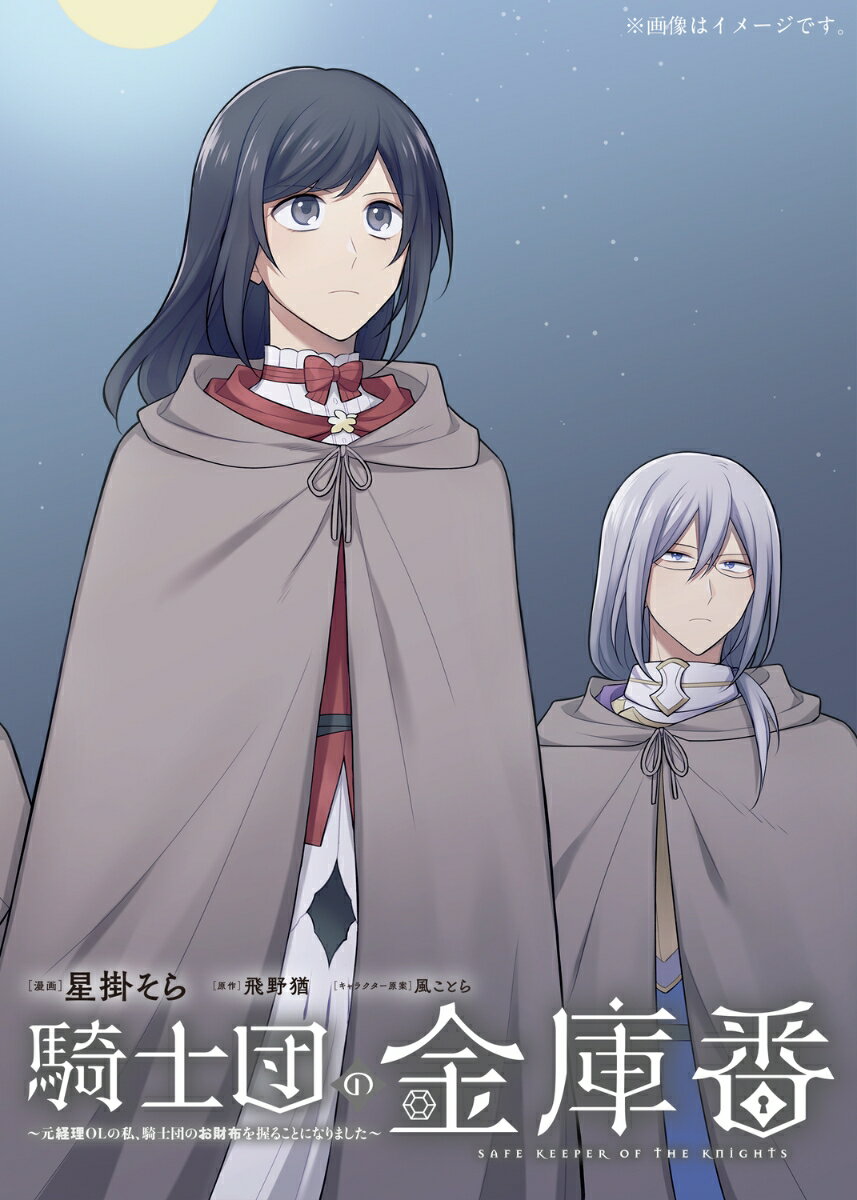 騎士団の金庫番 〜元経理ОLの私、騎士団のお財布を握ることになりました〜 2