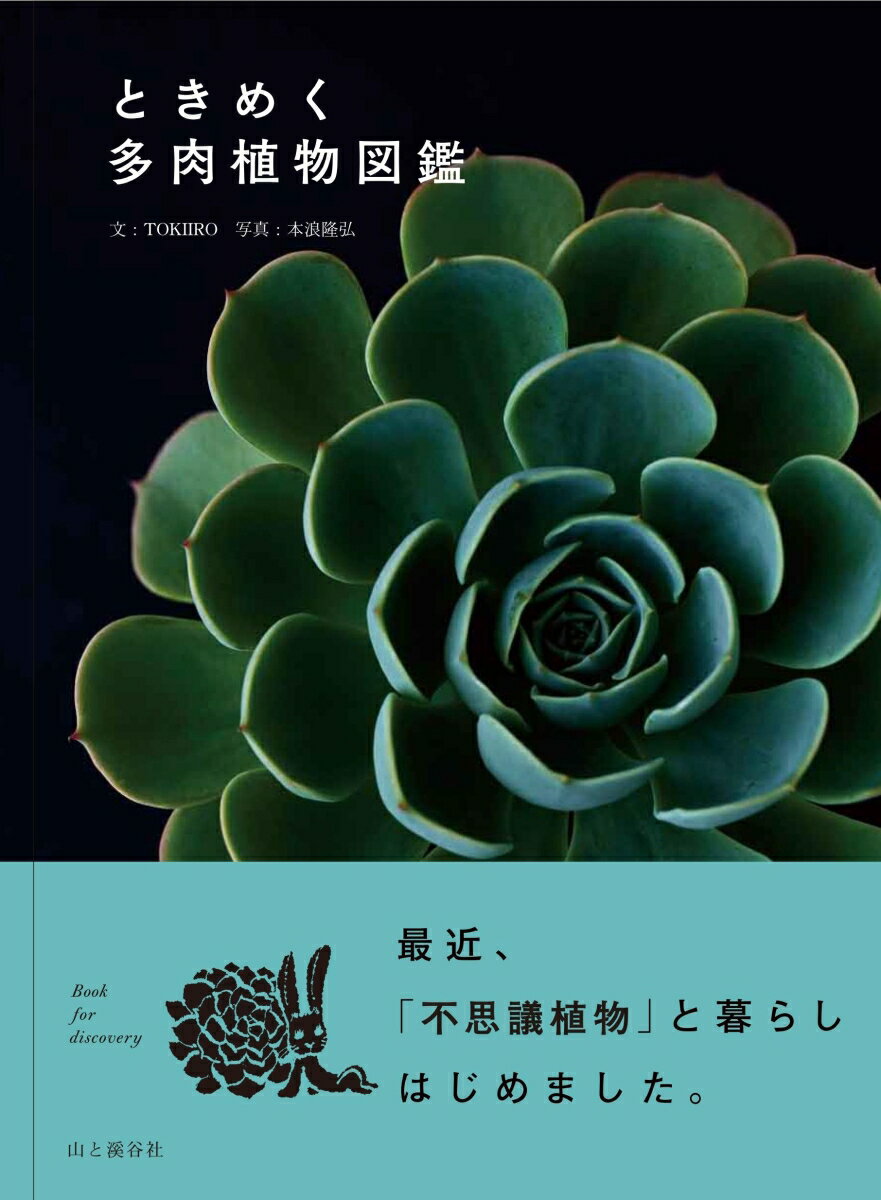 ときめく多肉植物図鑑 （Book　for　discovery） [ TOKIIRO ]