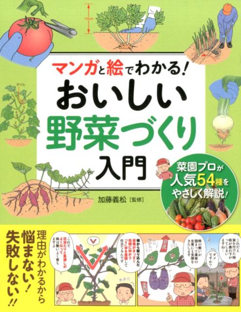 加藤義松 西東社マンガ ト エ デ ワカル オイシイ ヤサイズクリ ニュウモン カトウ,ヨシマツ 発行年月：2017年10月 ページ数：192p サイズ：単行本 ISBN：9784791622443 加藤義松（カトウヨシマツ） 1954年、江戸時代から300年続く農家に生まれる。農業体験農園の発案者。全国に先駆けて都市型の農業体験農園「緑と農の体験塾」を開園。先進農業の優良事例として農業白書に掲載され、練馬区農業体験農園園主会が日本農業賞大賞受賞。全国農業体験農園協会理事長。農林水産省都市農業検討委員会委員。前東京農業大学客員研究員（本データはこの書籍が刊行された当時に掲載されていたものです） 1章　はじめが肝心！野菜づくりの準備と基本／2章　絶対つくりたい人気野菜10／3章　長期間収穫できる野菜／4章　春に収穫する野菜／5章　春〜夏に収穫する野菜／6章　秋〜冬に収穫する野菜 工夫1：野菜づくりの基本がマンガでやさしくわかる！工夫2：54種の野菜の育て方が絵と写真で具体的にわかる！工夫3：マンガで“プロのコツ”をしっかり理解できる！工夫4：見やすい栽培カレンダーで作業が管理しやすい！工夫5：「収穫時期」「作付け時期」「科別」など、目的別に野菜を探せる！ 本 ビジネス・経済・就職 産業 農業・畜産業 美容・暮らし・健康・料理 ガーデニング・フラワー 野菜作り