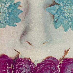 サルクグレイスレス 発売日：2013年04月17日 予約締切日：2013年04月10日 GRACELESS JAN：4526180132448 VJRー3155 VINYL JUNKIE (株)ウルトラ・ヴァイヴ [Disc1] 『グレイスレス』／CD アーティスト：サルク CD ロック・ポップス ロック・オルタナティヴ