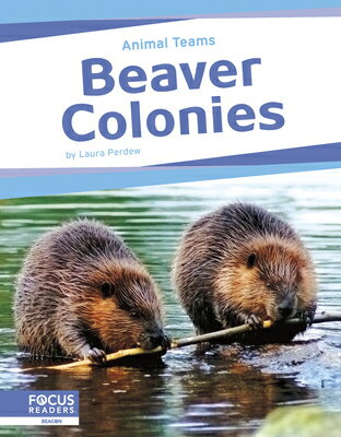 Beaver Colonies BEAVER COLONIES [ Laura Perdew ]