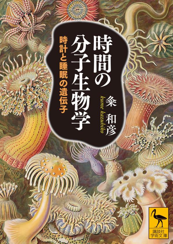 時間の分子生物学　時計と睡眠の遺伝子