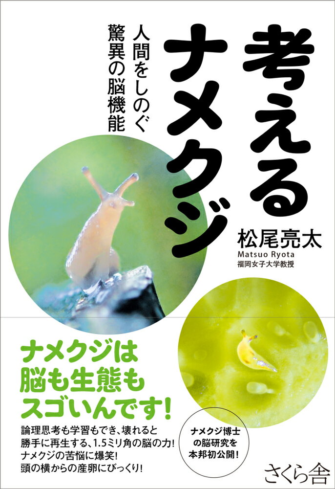 人間をしのぐ驚異の脳機能 松尾亮太 さくら舎カンガエルナメクジ マツオリョウタ 発行年月：2020年05月21日 予約締切日：2020年03月27日 ページ数：192p サイズ：単行本 ISBN：9784865812459 松尾亮太（マツオリョウタ） 1971年、兵庫県伊丹市に生まれ、大阪府箕面市で育つ。京都大学理学部卒、東京大学大学院理学系研究科修了。大学院時代はラットを用いた脳研究に従事し、「海馬長期増強に伴い発現変化する遺伝子の網羅的探索」で博士（理学）取得。三菱化学生命科学研究所特別研究員を経て、2001年、東京大学大学院薬学系研究科助手。ここでナメクジの脳研究に出会う。2005年、徳島文理大学香川薬学部講師、2012年、同准教授。2013年、福岡女子大学国際文理学部准教授を経て2019年、同教授。ナメクジの学習機構、および嗅覚、視覚の研究に従事している（本データはこの書籍が刊行された当時に掲載されていたものです） 第1章　ナメクジってどんな生き物？／第2章　すごい「脳力」があふれている動物界／第3章　ナメクジは賢い！／第4章　人間をはるかにしのぐナメクジの「脳力」／第5章　ナメクジの生き方／第6章　愛と青春のナメクジ研究 ナメクジは脳も生態もスゴいんです！論理思考も学習もでき、壊れると勝手に再生する、1．5ミリ角の脳の力！ナメクジの苦悩する姿にびっくり！頭の横からの産卵にどっきり！ 本 科学・技術 自然科学全般 科学・技術 生物学 科学・技術 動物学