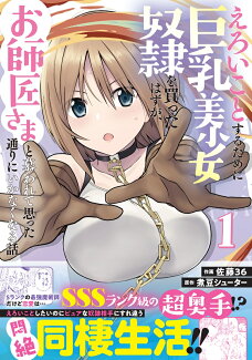 えろいことするために巨乳美少女奴隷を買ったはずが、お師匠さまと慕われて思った通りにいかなくなる話 1の表紙