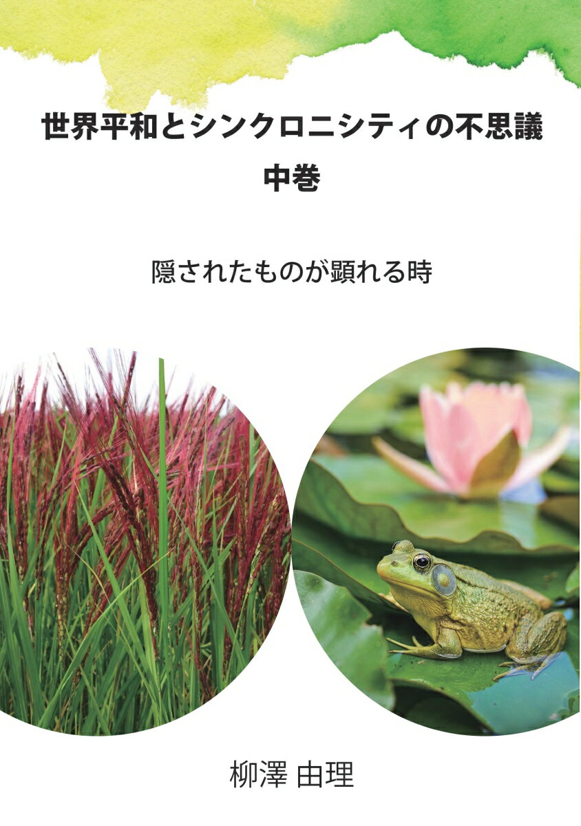 【POD】世界平和とシンクロニシティの不思議　中巻