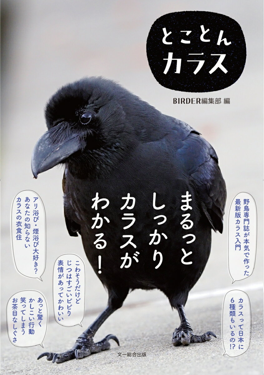 【中古】 動物誌 第8巻 / オリヴァー ゴールドスミス, Oliver Goldsmith, 玉井 東助 / 原書房 [単行本]【メール便送料無料】