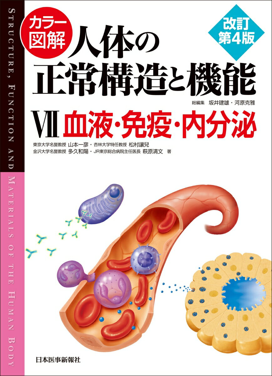 カラー図解 人体の正常構造と機能〈7〉血液・免疫・内分泌