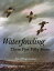 Waterfowling These Past Fifty Years WATERFOWLING THESE PAST 50 YEA [ David Hagerbaumer ]