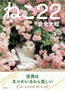 ねこ22（にゃんにゃん） [ 岩合　光昭 ]