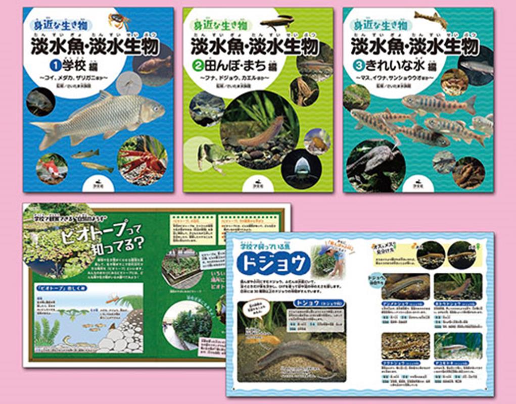身近な生き物淡水魚・淡水生物（全3巻セット） [ さいたま水族館 ]のサムネイル