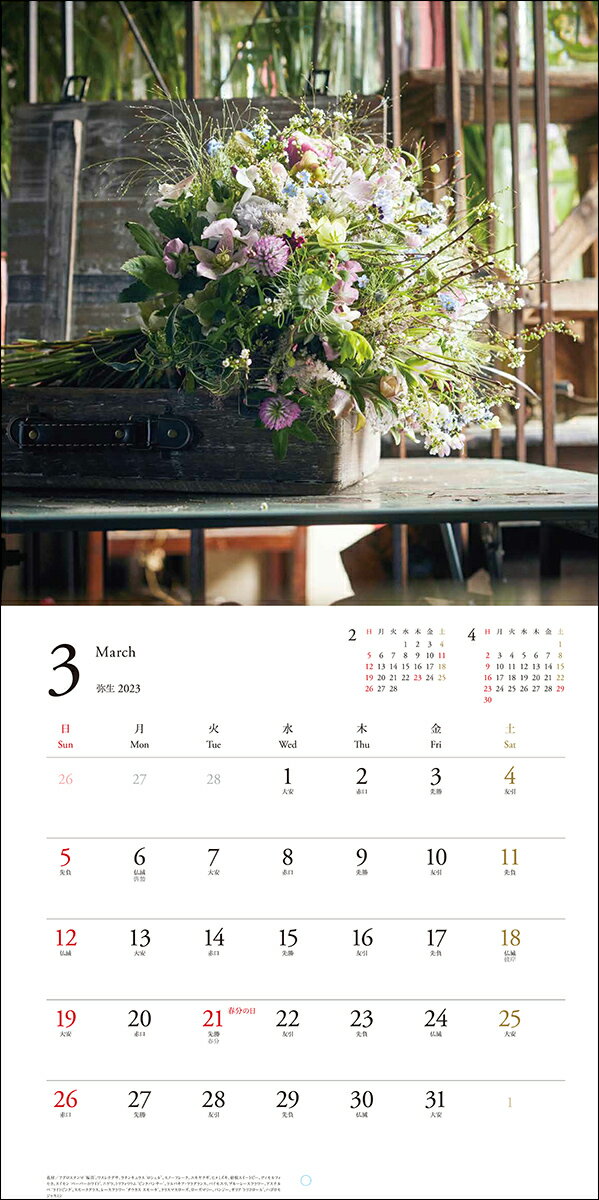 2023ǯ�������� �֡��� ����ʸƲ�����ҥ��������� [ ��������Υ����른�å� ]