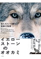 １９９５年、１４頭のオオカミが自然に放たれた。増えすぎた草食動物により荒れ果てたイエローストーン公園の生態系。豊かな自然を取り戻すべく、カナダから頂点捕食者のオオカミが連れてこられた。彼らはそこで群れをつくり、家族と生き、敵と戦い、そして死んでいった。「２０世紀最大の実験」と呼ばれたオオカミ再導入計画の様子を、ベテラン・ウルフウォッチャーが生涯をかけて記録したノンフィクション。