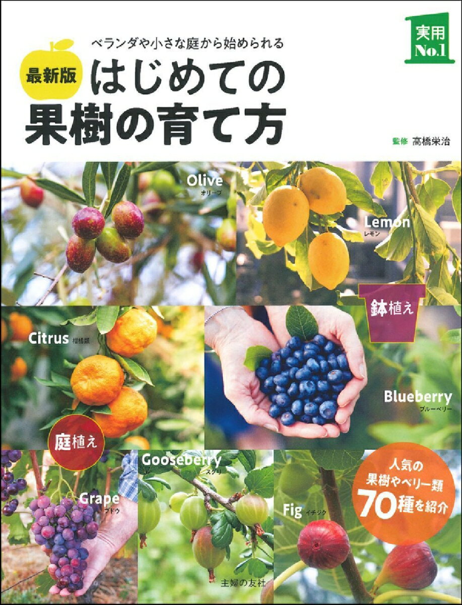 �ǿ��ǡ��Ϥ���Ƥβ̼��ΰ����