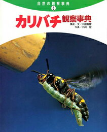 カリバチ観察事典