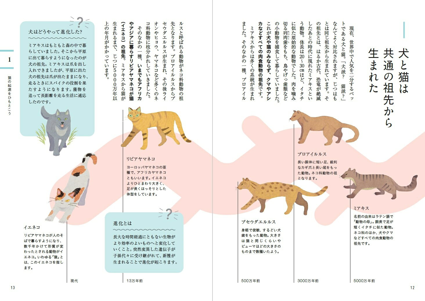 教養としての猫 思わず人に話したくなる猫知識151 [ 富田園子 ] 2