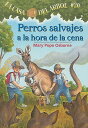 ŷ֥å㤨Perros Salvajes a la Hora de la Cena = Dingoes at Dinnertime SPA-MTH #20 PERROS SALVAJES A Magic Tree House [ Mary Pope Osborne ]פβǤʤ1,336ߤˤʤޤ