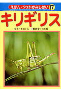 キリギリス