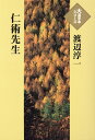 ルネサンス経験の条件[本/雑誌] (文春学藝ライブラリー 思想 6) (文庫) / 岡崎乾二郎/著