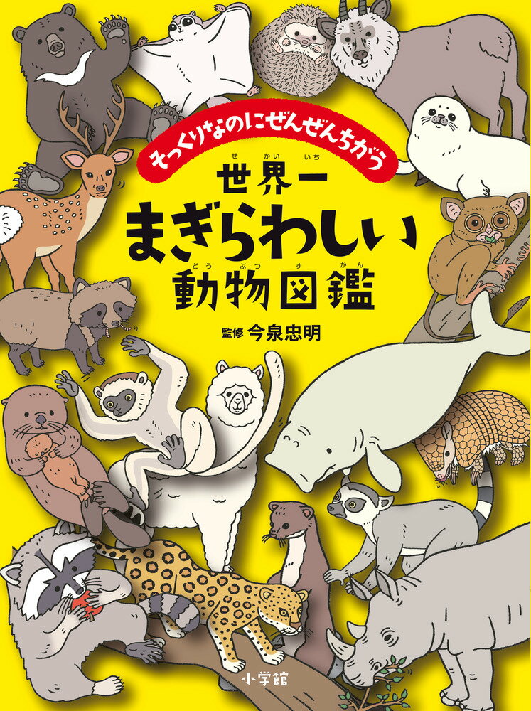 世界一まぎらわしい動物図鑑 そっくりなのにぜんぜんちがう 今泉 忠明