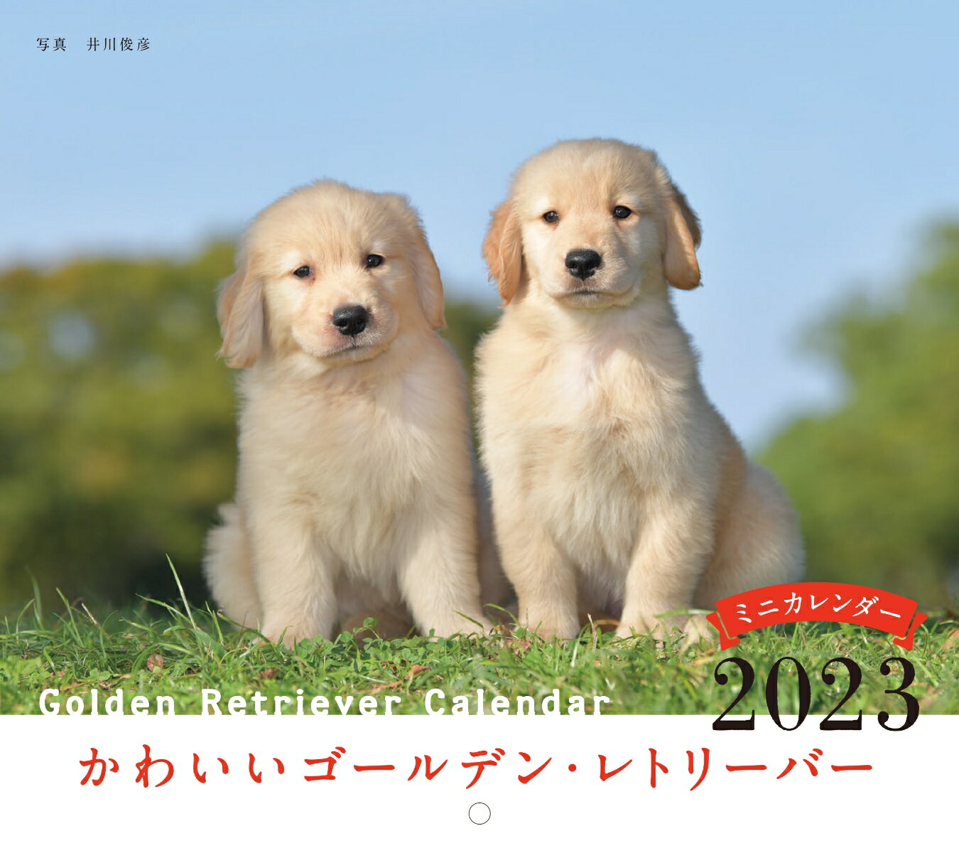 2023年カレンダー かわいいゴールデン・レトリーバー
