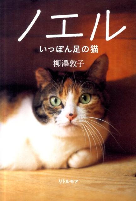 三本の足を失い、ノエルと名付けられた猫の、夕暮れの下町から始まる、本当にあった物語。