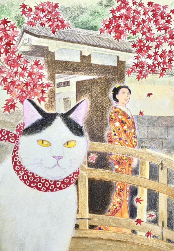 猫奥（13）
