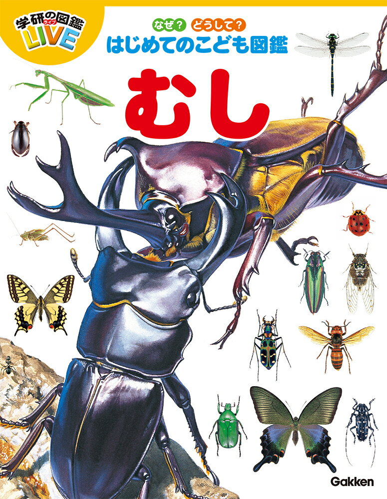 【楽天ブックスならいつでも送料無料】なぜ？どうして？はじめてのこ...