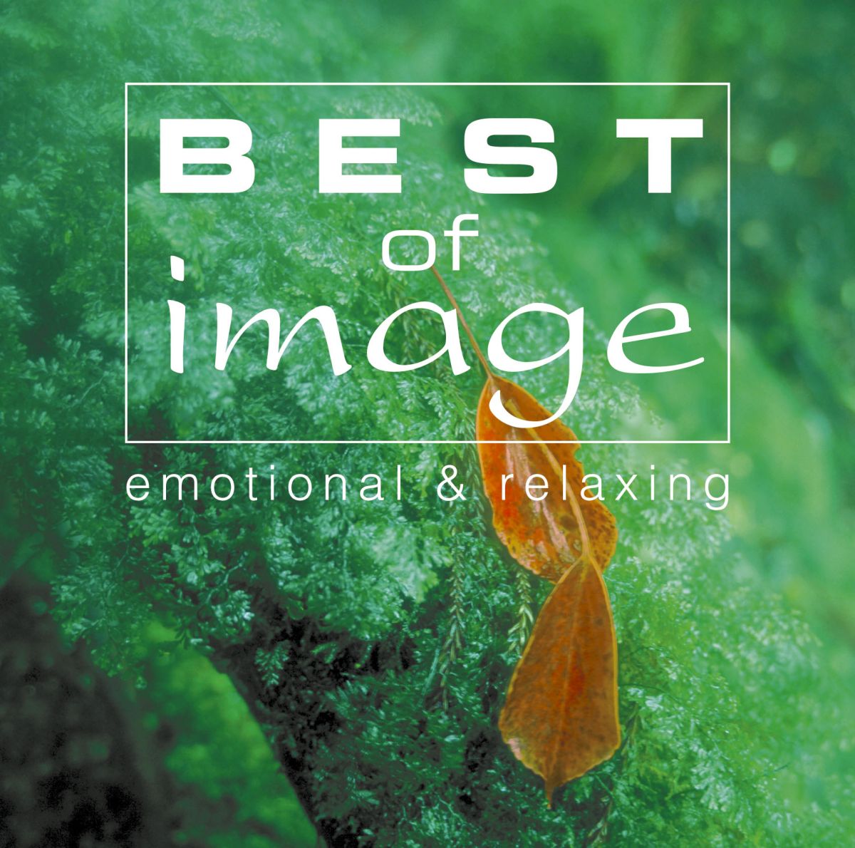 BEST of image [ (V.A.) ] 1