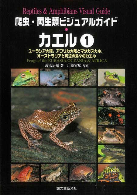 【バーゲン本】カエル1-爬虫・両生類ビジュアルガイド