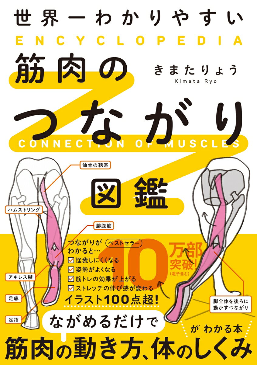 世界一わかりやすい 筋肉のつながり図鑑 [ きまた　りょう ]