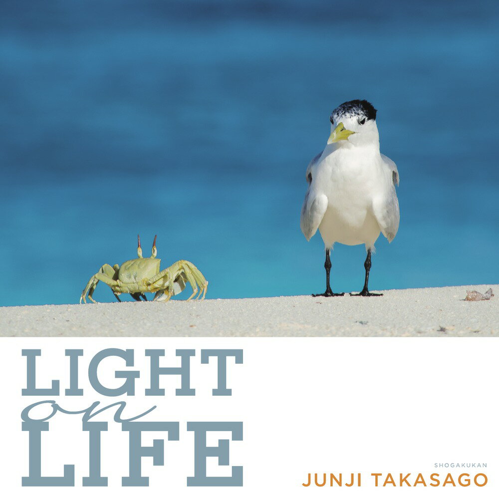 LIGHT on LIFE 高砂 淳二