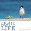 LIGHT on LIFE [ ⺽  ]