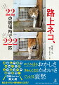 にじみ出るおかしさ、きゅんとなるかわいさ、ぐっとくる哀愁。５００万カットの集大成。路上をさすらい撮り続けた２２年！