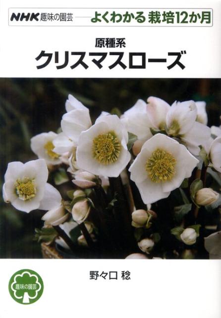 原種系クリスマスローズ NHK趣味の園芸ーよくわかる栽培12か月 [ 野々口稔 ]