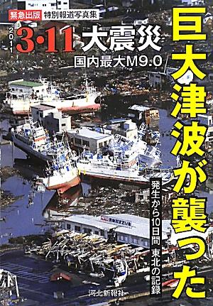 巨大津波が襲った 3・11大震災