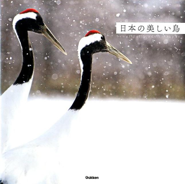 日本の美しい鳥