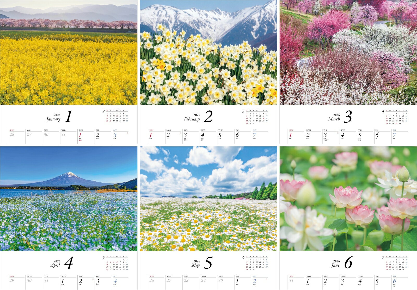 カレンダー2026 心に残る癒やしの花風景 B...の紹介画像2