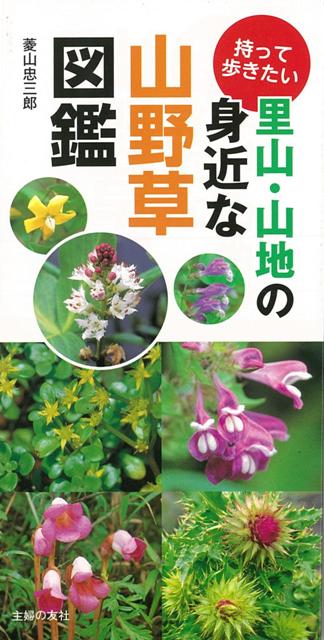【バーゲン本】持って歩きたい里山・山地の身近な山野草図鑑