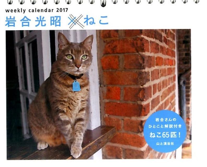 【卓上】岩合光昭×ねこカレンダー（2017）