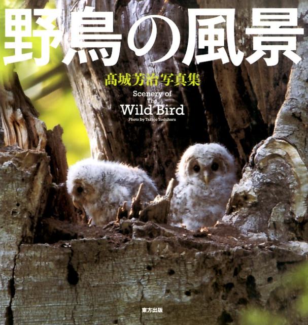 【謝恩価格本】野鳥の風景