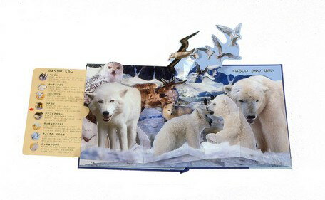 ほっきょく、なんきょくのどうぶつたち (とびだ...の紹介画像2