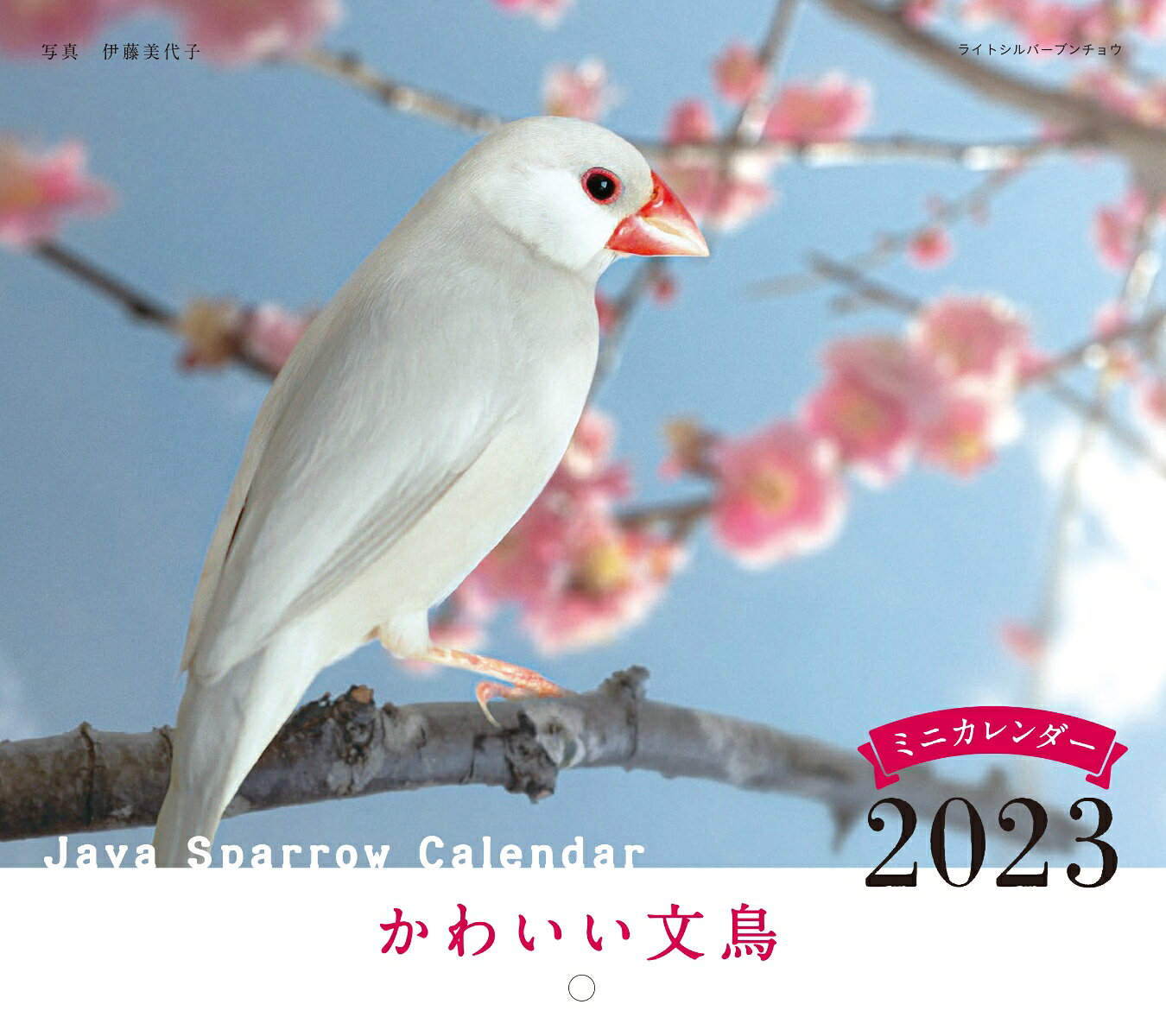2023年カレンダー かわいい文鳥