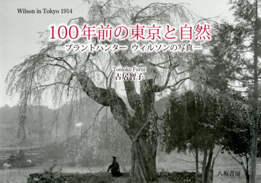 100年前の東京と自然 プラントハンター　ウィルソンの写真 