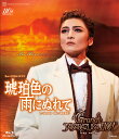月組全国ツアー公演 ミュージカル・ロマン『琥珀色の雨にぬれて』/レビュー・アニバーサリー『Grande TAKARAZUKA 110!』【Blu-ray】 [ ...