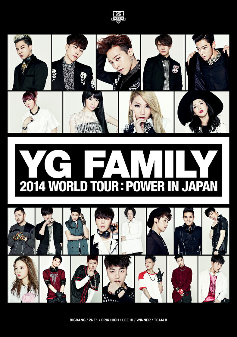 YG FAMILY WORLD TOUR 2014 -POWER- in Japan [3DVD