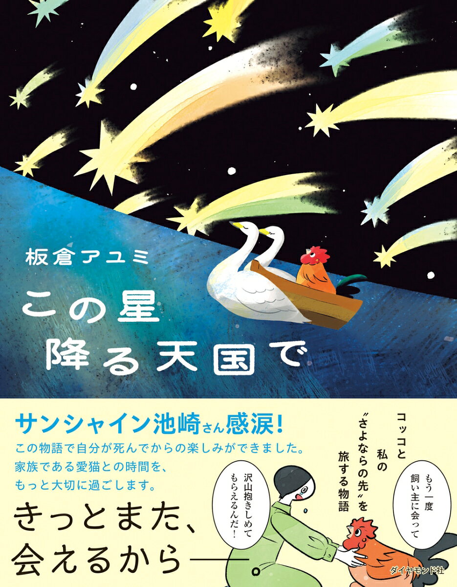 この星降る天国で 表紙