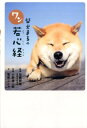 柴犬まるのワン若心経 小野慎二郎