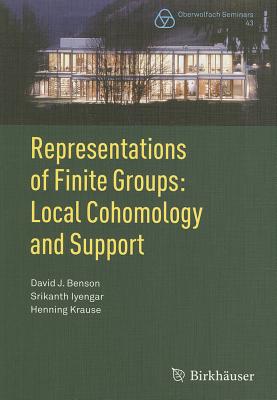 Representations of Finite Groups: Local Cohomology and Support REPRESENTATIONS OF FINITE GROU （Oberwolfach Seminars） David J. Benson