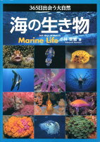 365日出会う大自然海の生き物 [ 小林安雅 ]